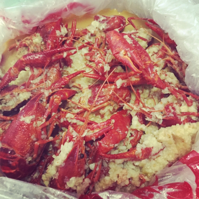 yy体育 -包含贽`!